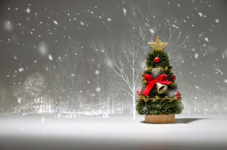 ごあいさつ2025年冬